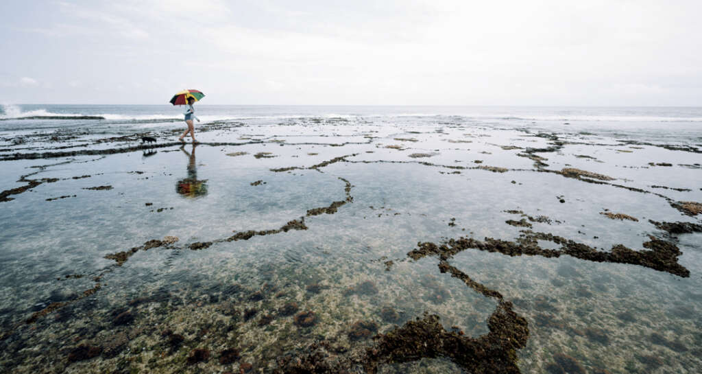 reef walk